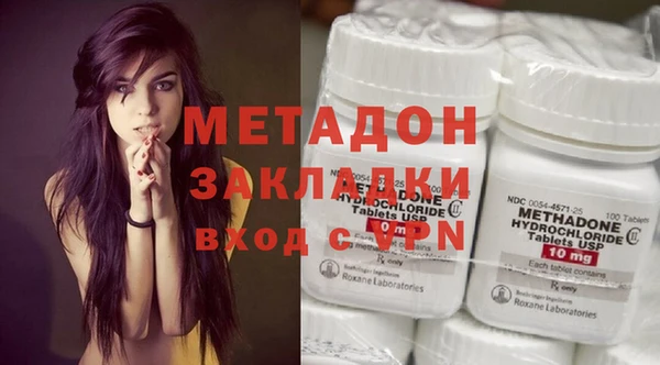 прущие грибы Аркадак