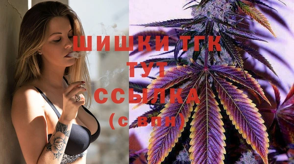 прущие грибы Аркадак