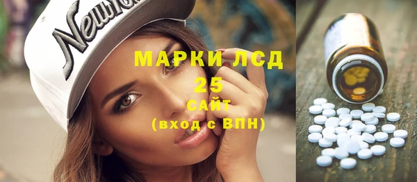 прущие грибы Аркадак