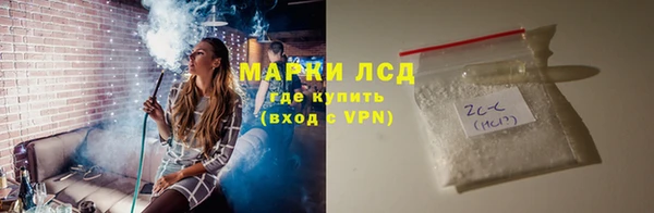 прущие грибы Аркадак
