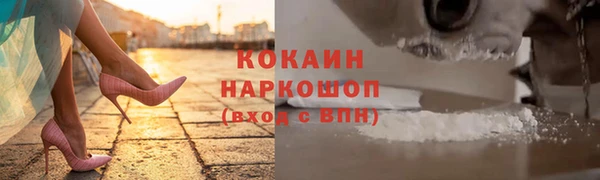 прущие грибы Аркадак