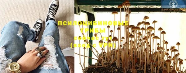 а пвп мука Арсеньев