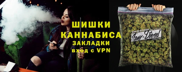 прущие грибы Аркадак